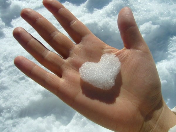 Сердце из снега в ладонях