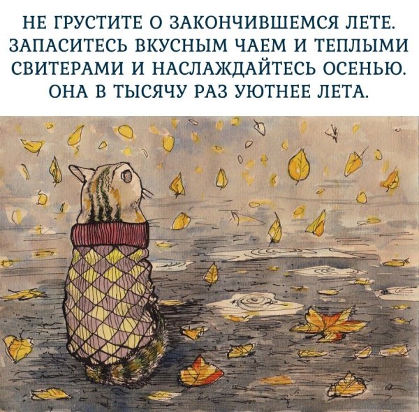 Осенняя хандра приколы