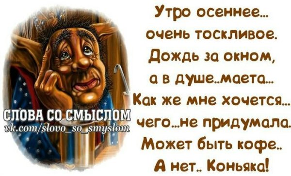 Высказывания про коньяк смешные