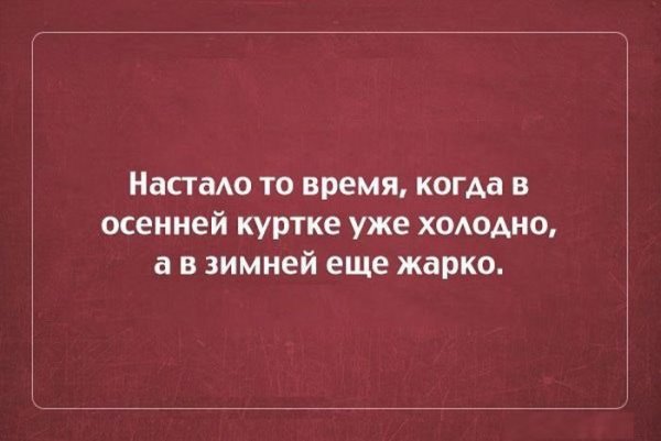 Цитаты про осень смешные