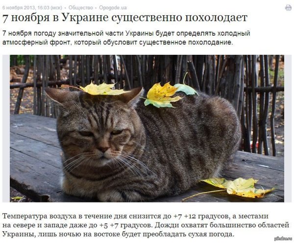 Осенняя депрессия смешные картинки