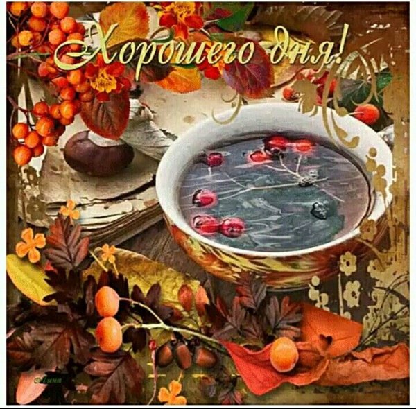 Хорошего осеннего дня и отличного настроения