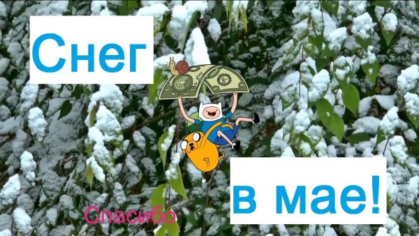 Снег в мае приколы