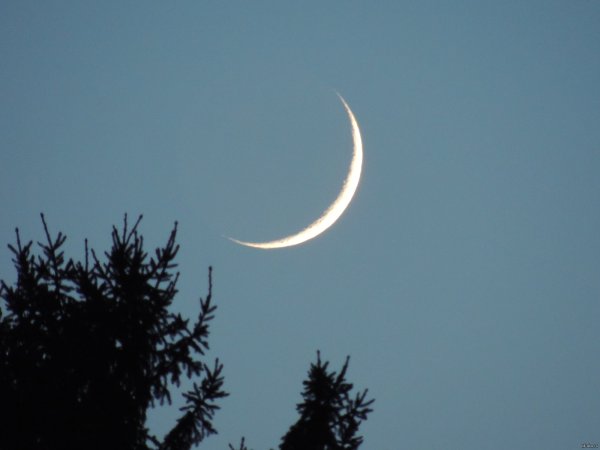 Растущий полумесяц