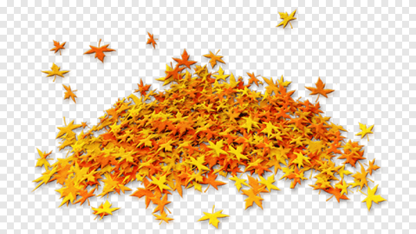 Куча листьев