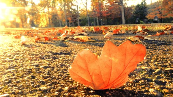 Осенний день