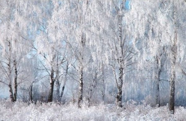 Валерий Яковлевич Брюсов первый снег