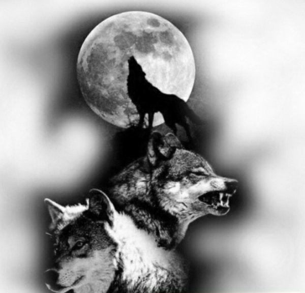 Тату волк и Луна