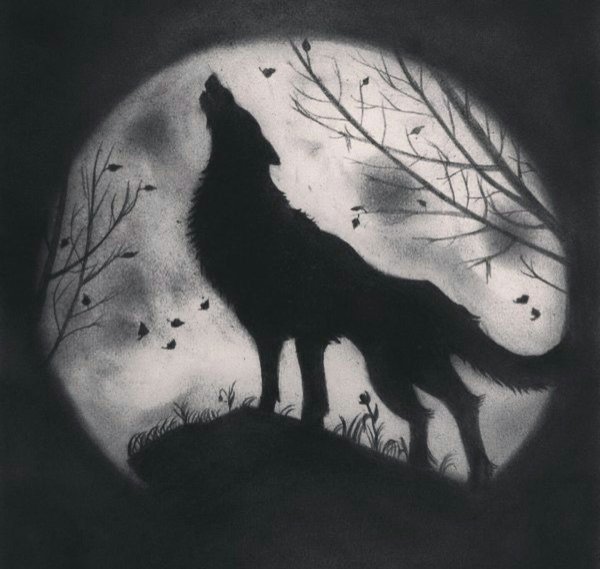 Тату волк воет на луну эскизы