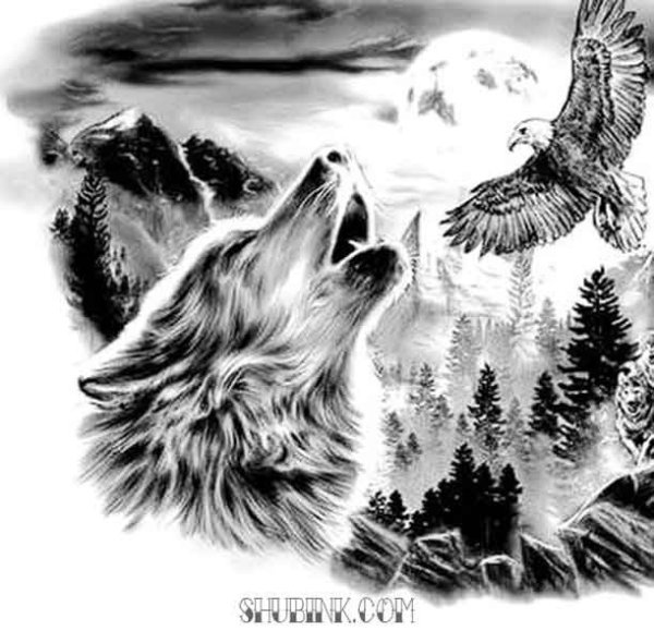 Эскиз тату волк в лесу