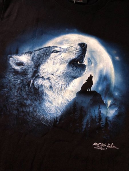 Волк на фоне Луны тату