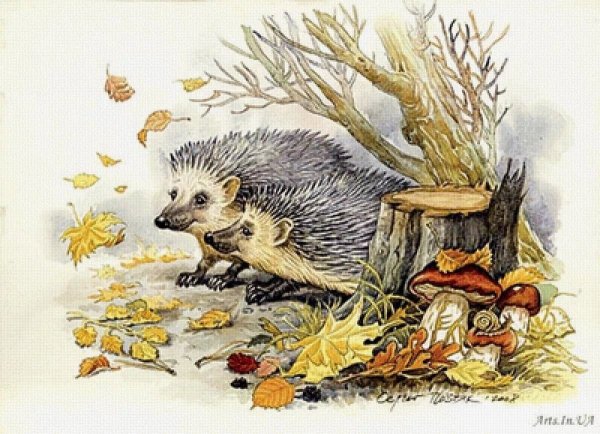 Еж под кустом