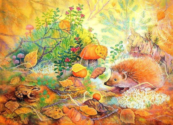 Елизавета Мелкозерова иллюстрации