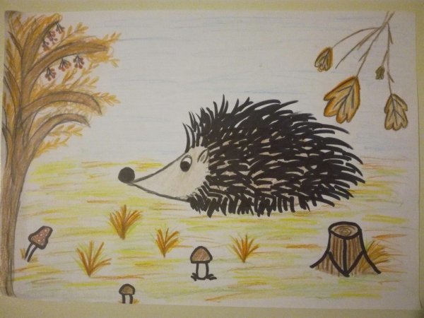 Колдина рисование Ежи Ежовичи