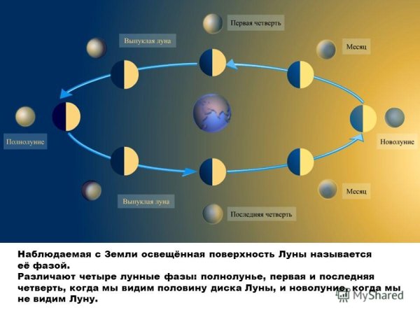 Первая и последняя четверть Луны