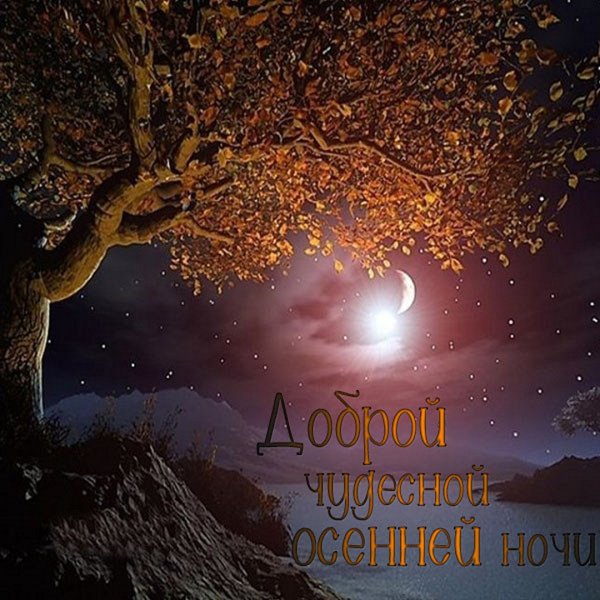 Спокойной ночи красивые осенние