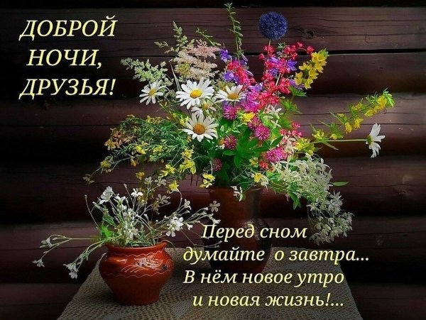 Утра дня пожелания