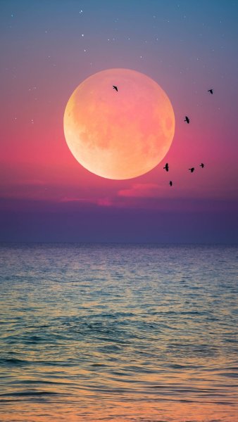 Клубничное полнолуние