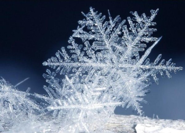 Ледяная Снежинка