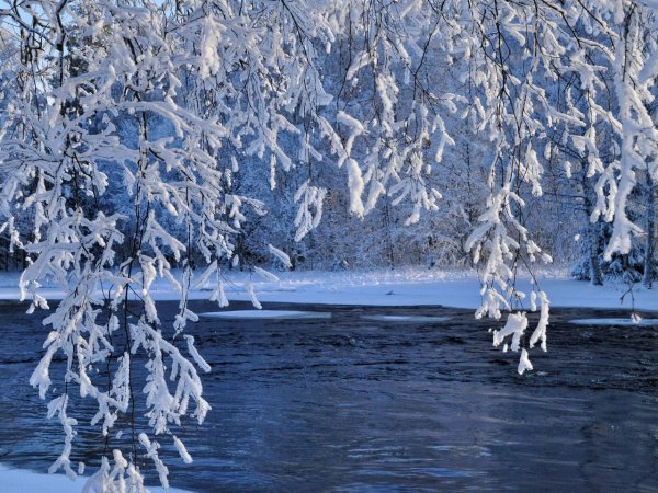 Снег на воде