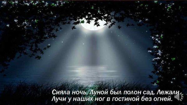 Стих Фета сияла ночь луной был полон сад
