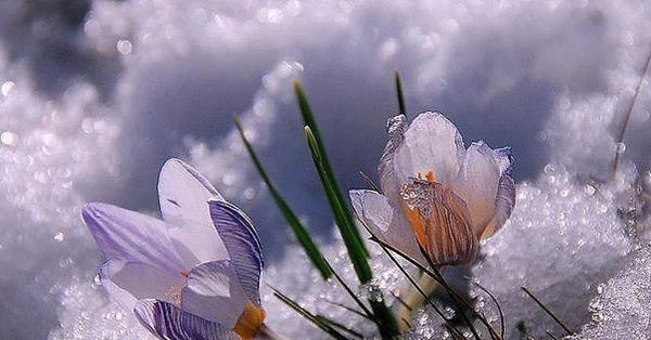 Ранняя Весна настроение