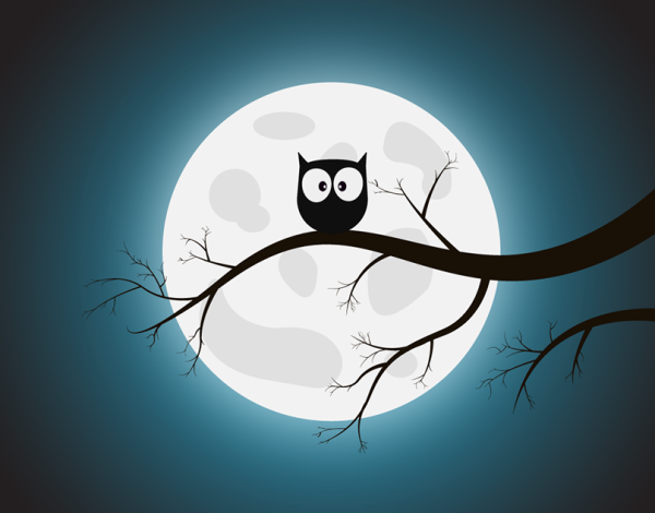 Сова на ветке на фоне Луны
