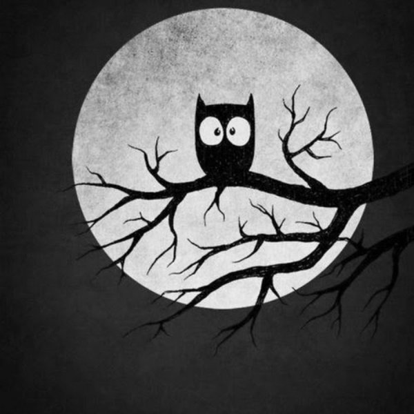 Сова на ветке арт
