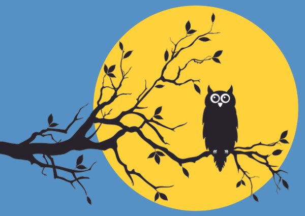Сова на ветке на фоне Луны