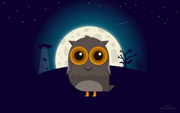 Сова на фоне ночного неба