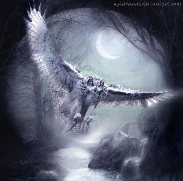 Мистическая Сова