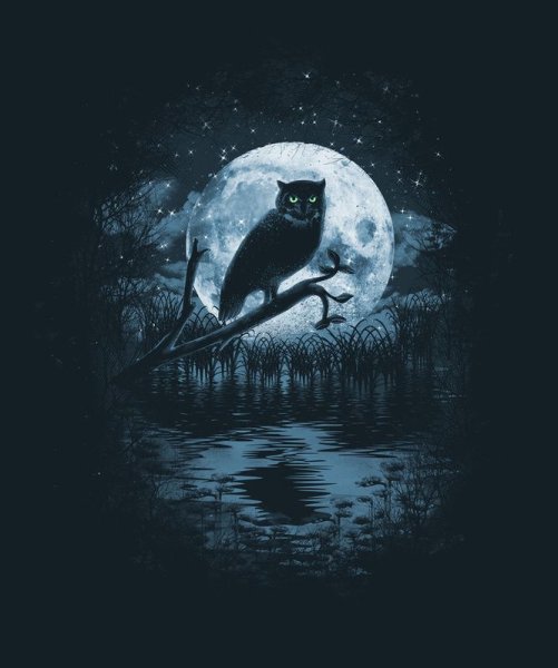 Сова на фоне Луны