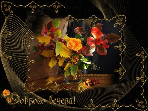Доброго осеннего вечера и прекрасного настроения