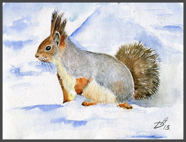 Пришвин беличья память