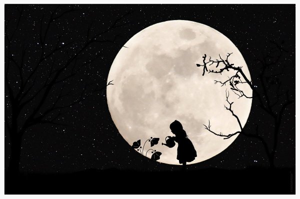 Ночь силуэт Луна