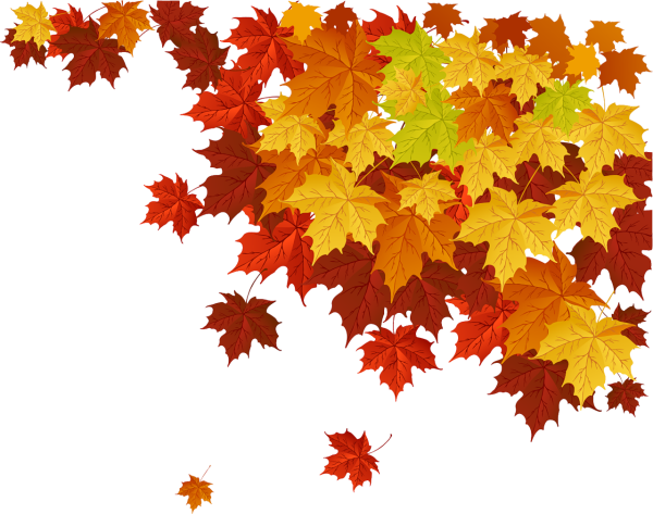 Осенние листья на прозрачном фоне