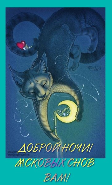 "Лунный кот"