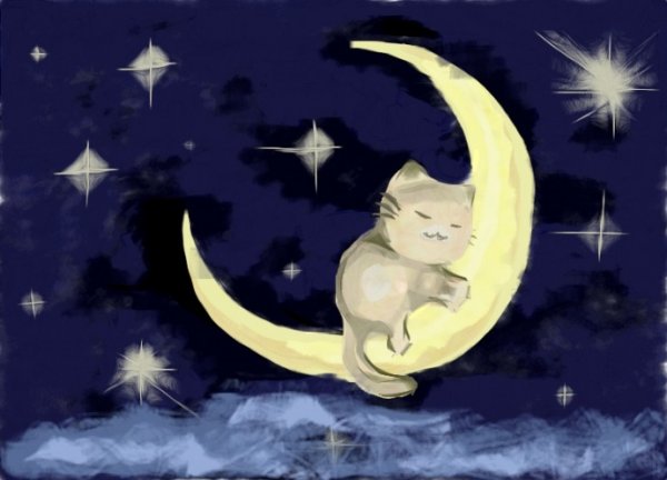 Кот и Луна