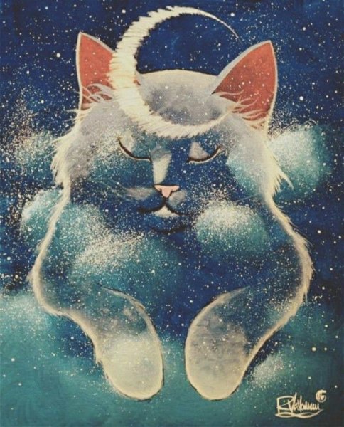 Кошки Рафаэль Вавассер