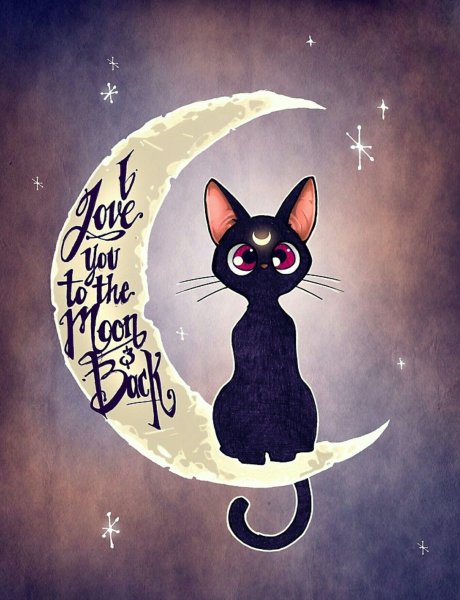 Котики для полумесяца