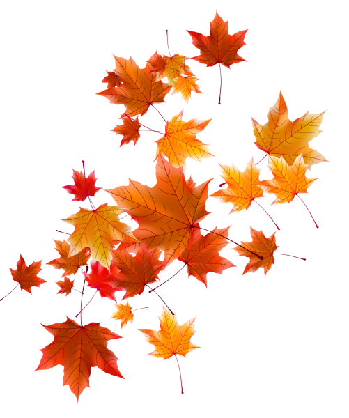 Осенние листочки