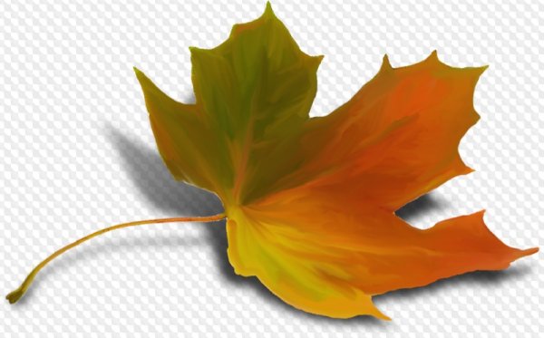 Осенние листики на прозрачном фоне
