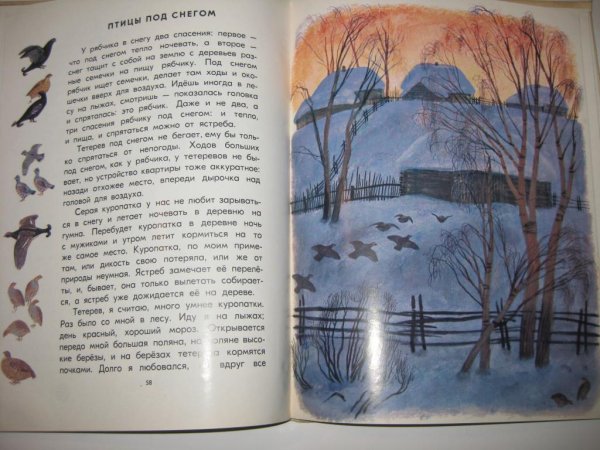 М.М пришвин "под снегом"
