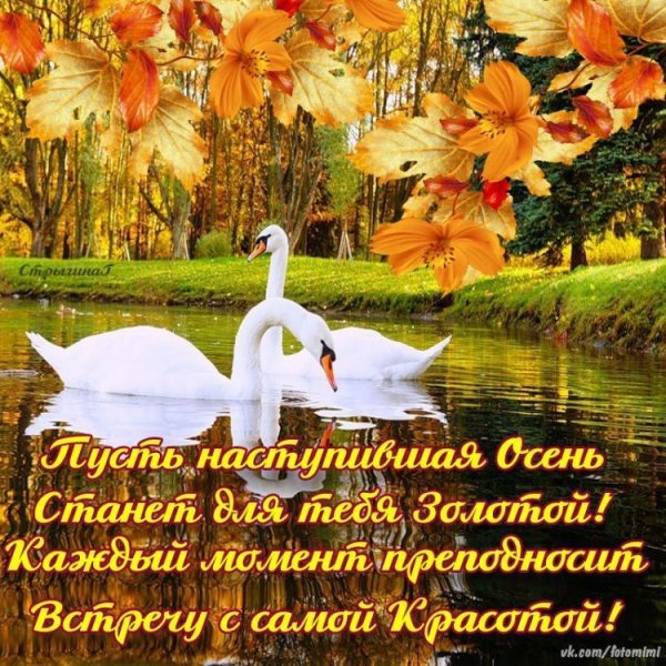 С добрым утром осенним с пожеланиями