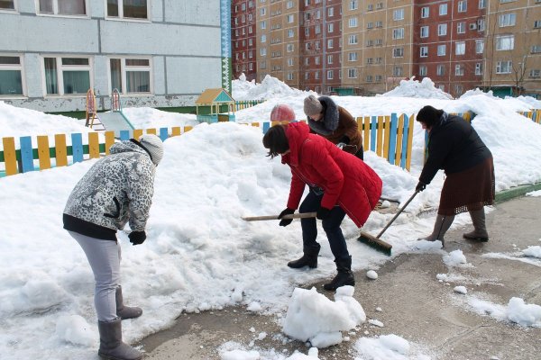 Зимний субботник