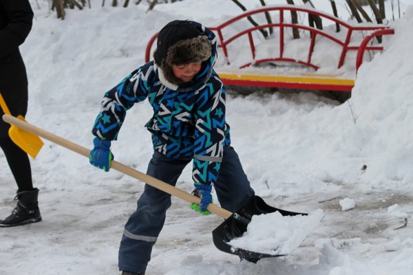 Субботник зимой