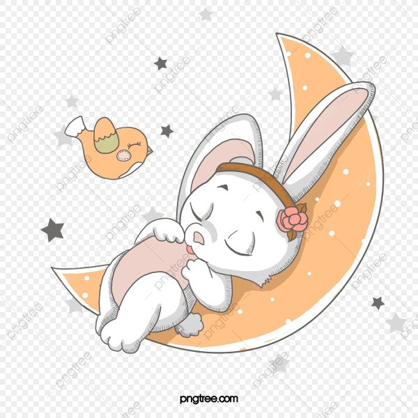 Спящий зайчик