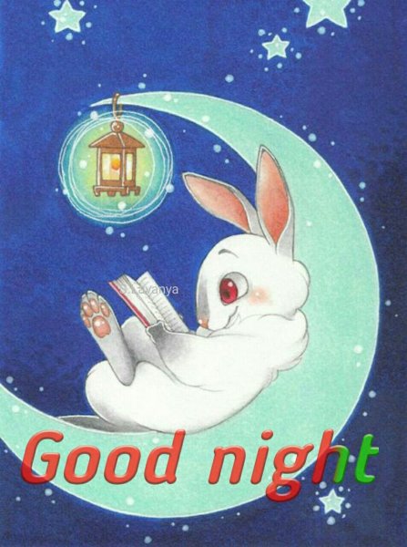 Спокойной ночи кролик