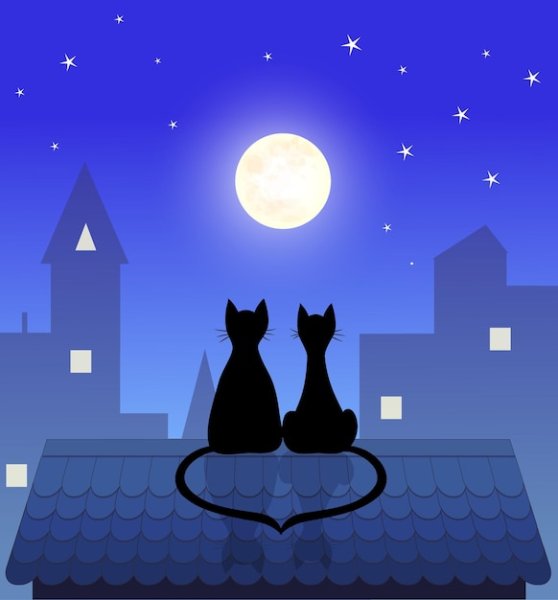 Силуэт кошки на крыше