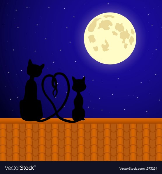 Силуэт кошки на крыше